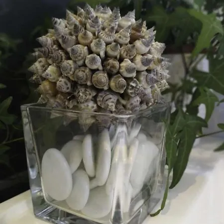 Escapades Lointaines Bed & Breakfast