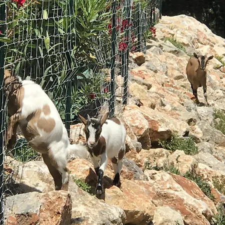 Escapades Lointaines 佩皮尼昂