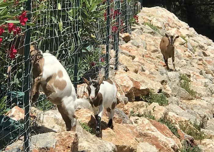 Escapades Lointaines Perpignan